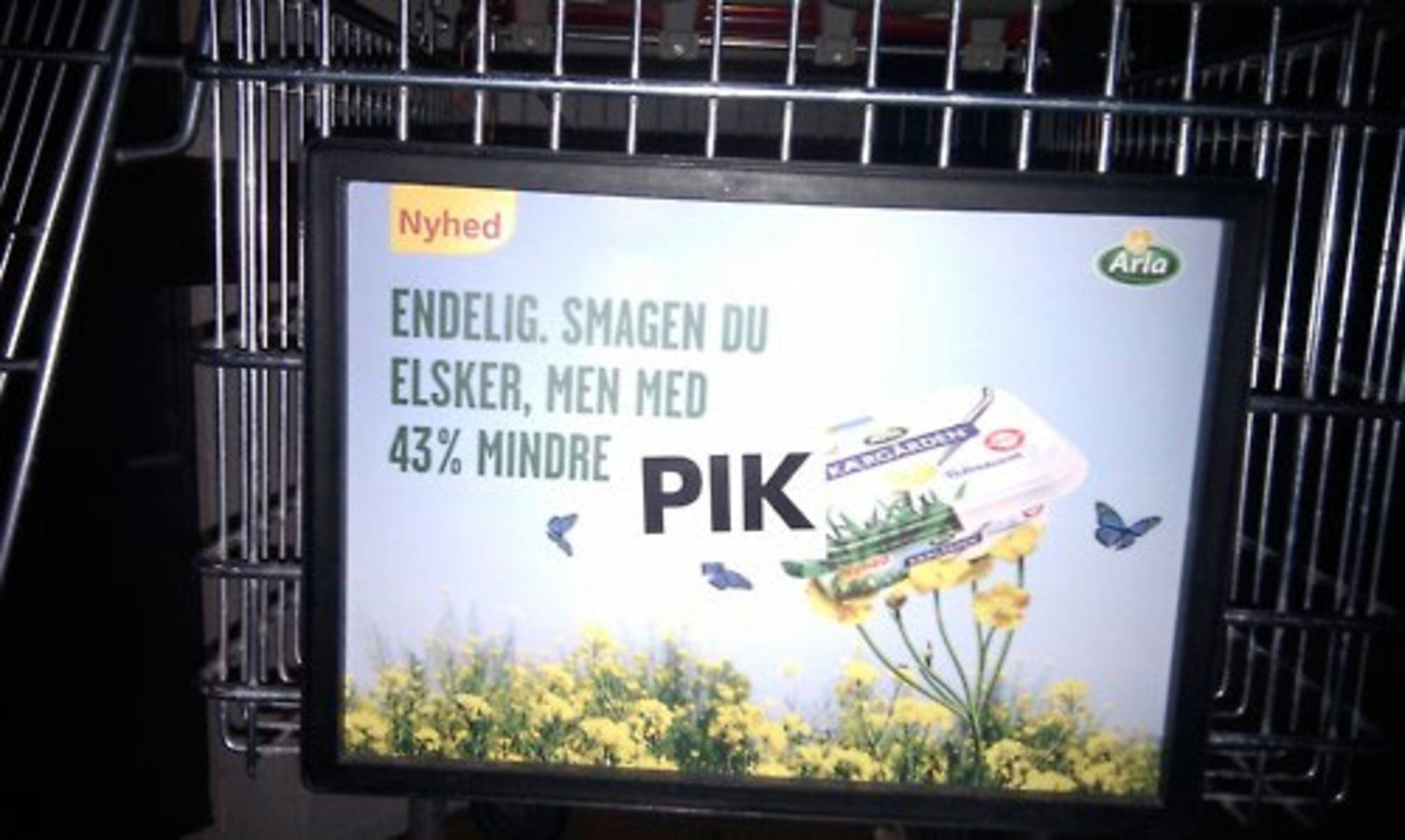 meget stor pik hvad tjener en revisor meget stor pik hvad tjener en revisor