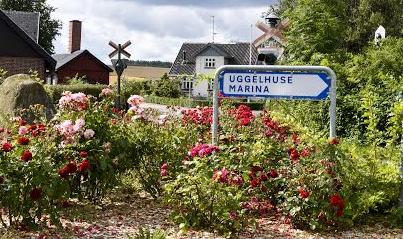 med på den værste sex med bedstemor med på den værste sex med bedstemor