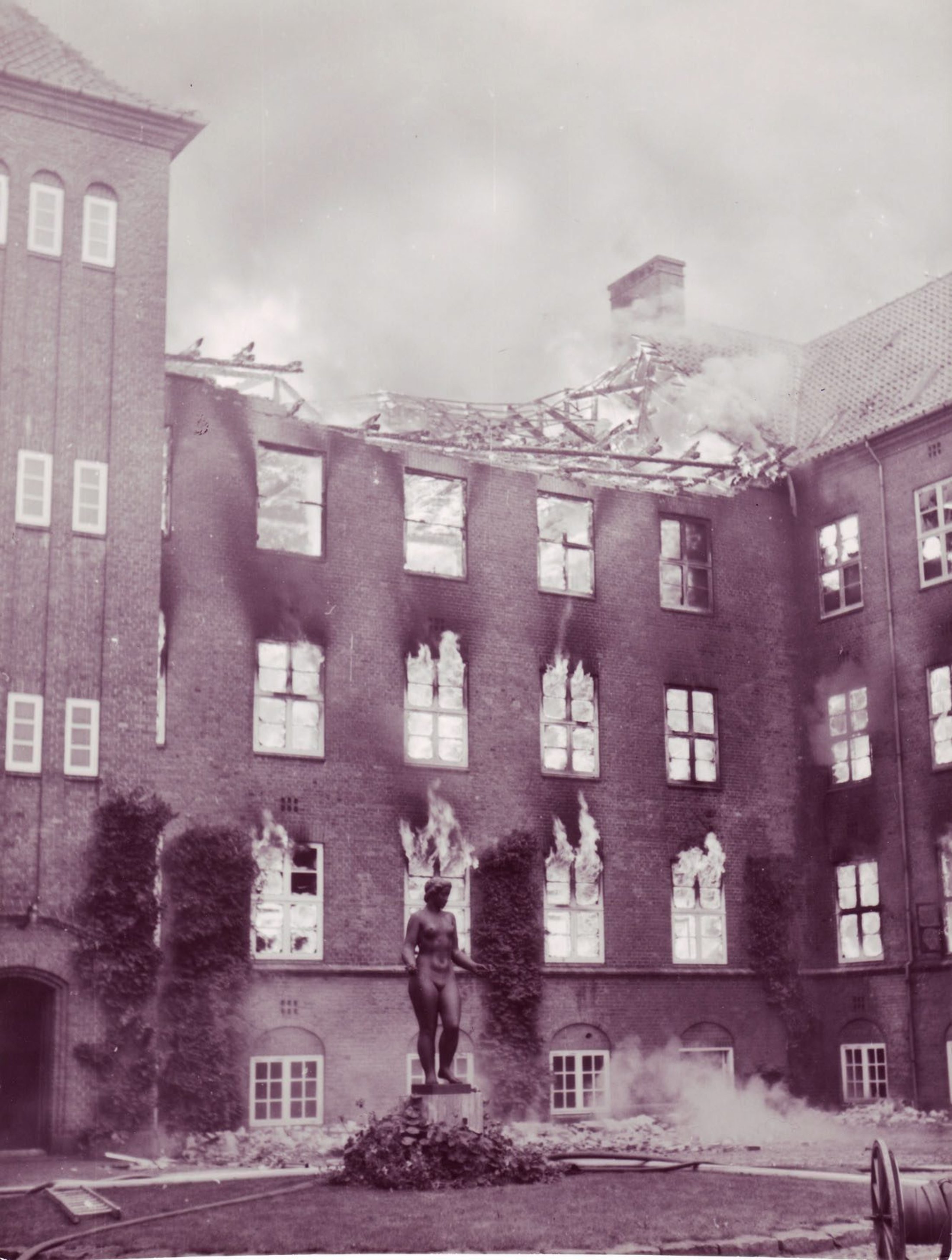 sex i haven sex historie dk sex i haven sex historie dk