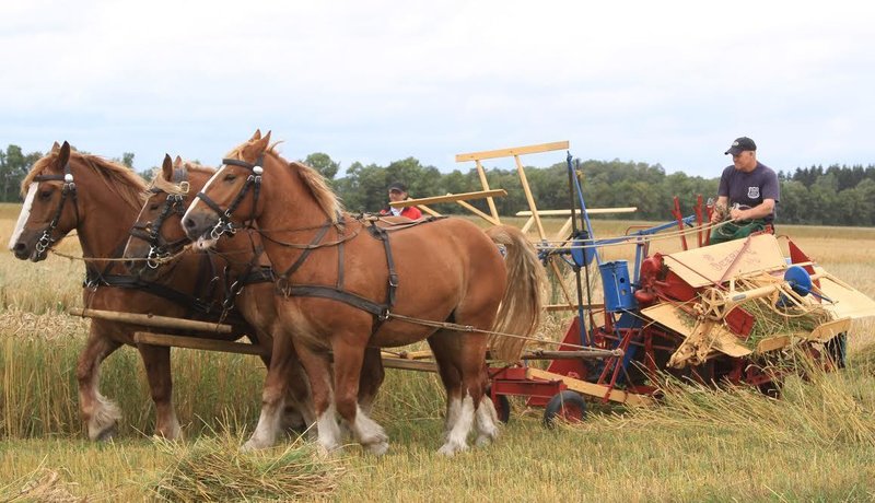 bordel fyn gl Estrup landbrugsmuseum bordel fyn gl Estrup landbrugsmuseum