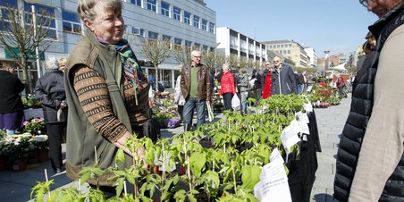 Sjældne planter trak folk ud i solen