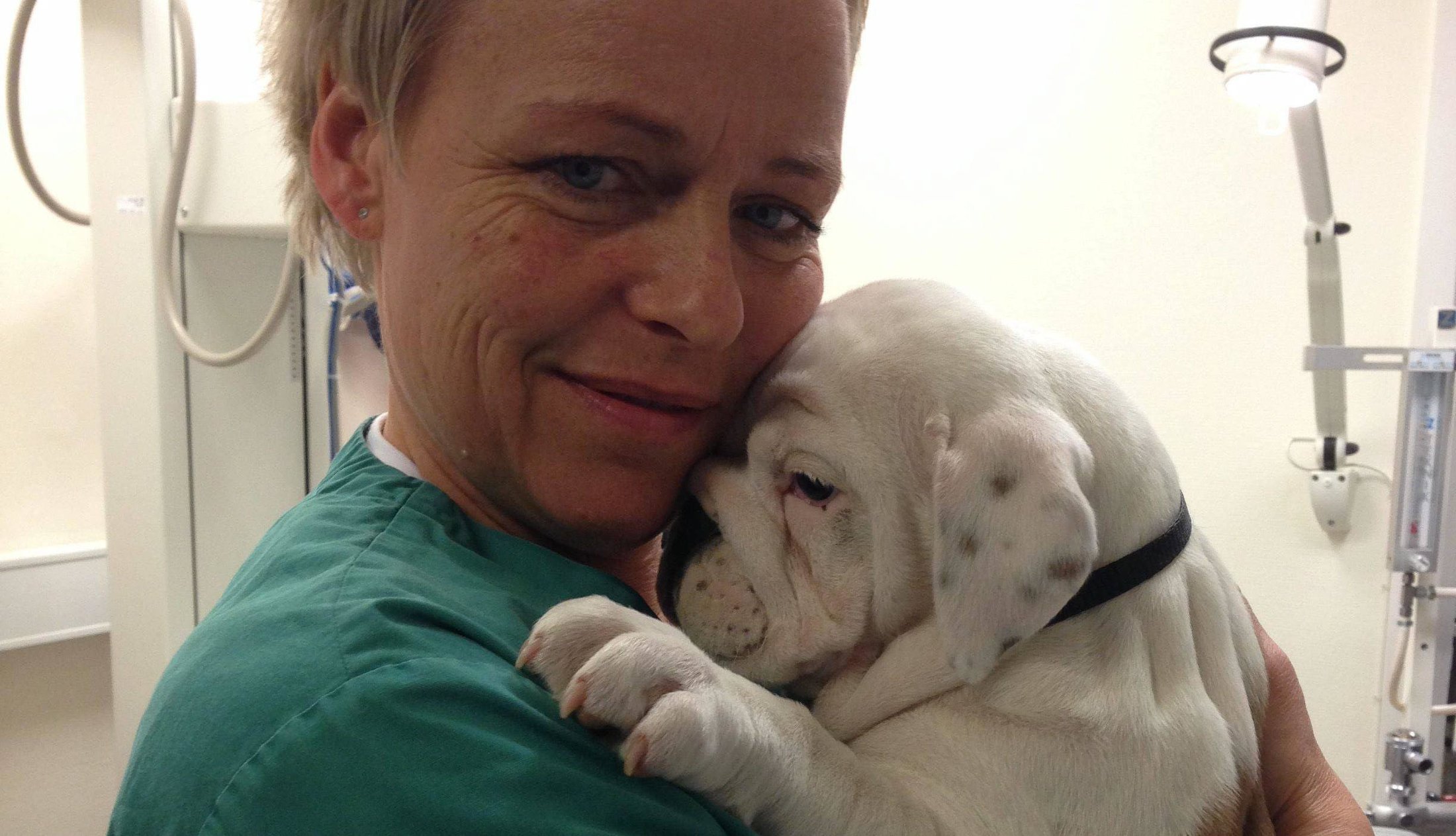 stor pik til min kone hund knepper dame stor pik til min kone hund knepper dame