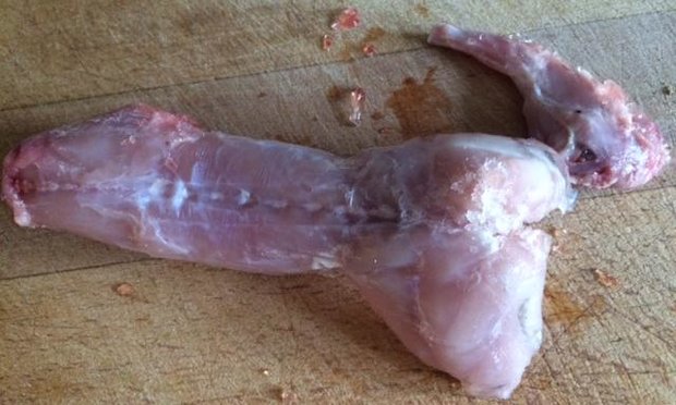 Radiovært efter omstridt kanindrab: derfor slog vi 'allan' ihjel ...