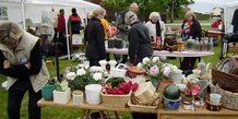 Soroptimist-loppemarked i Thorsø - 1