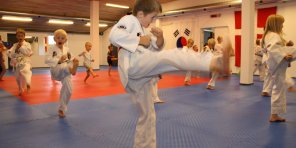 Taekwondo-folket har brug for en hånd - 1