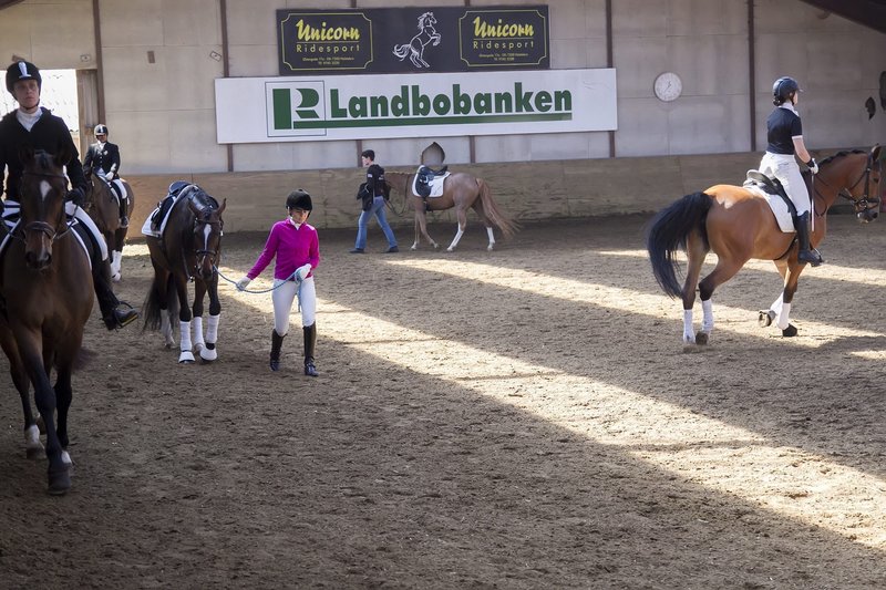 sex klubber i nj Ringkøbing-Skjern sex klubber i nj Ringkøbing-Skjern
