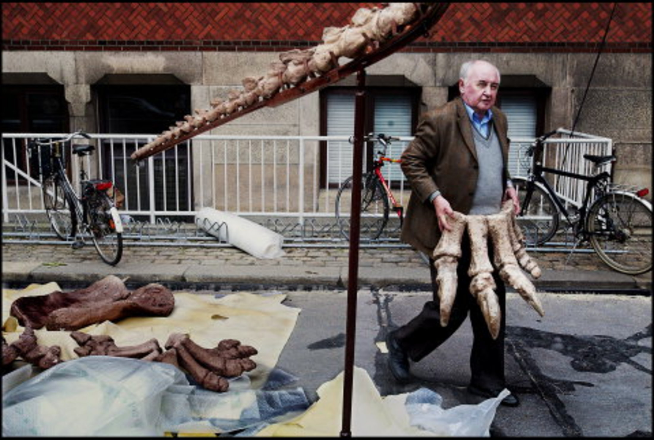 geologisk museum København sexede kvinder geologisk museum København sexede kvinder