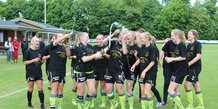 Vellev IF i Jyllandsserien - 1