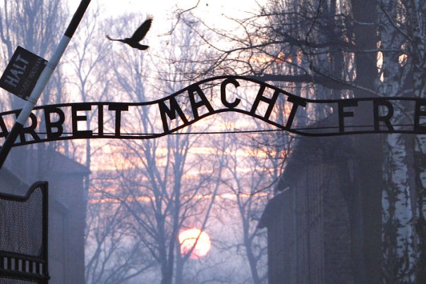 Auschwitz-dag på Dansk Jødisk Museum