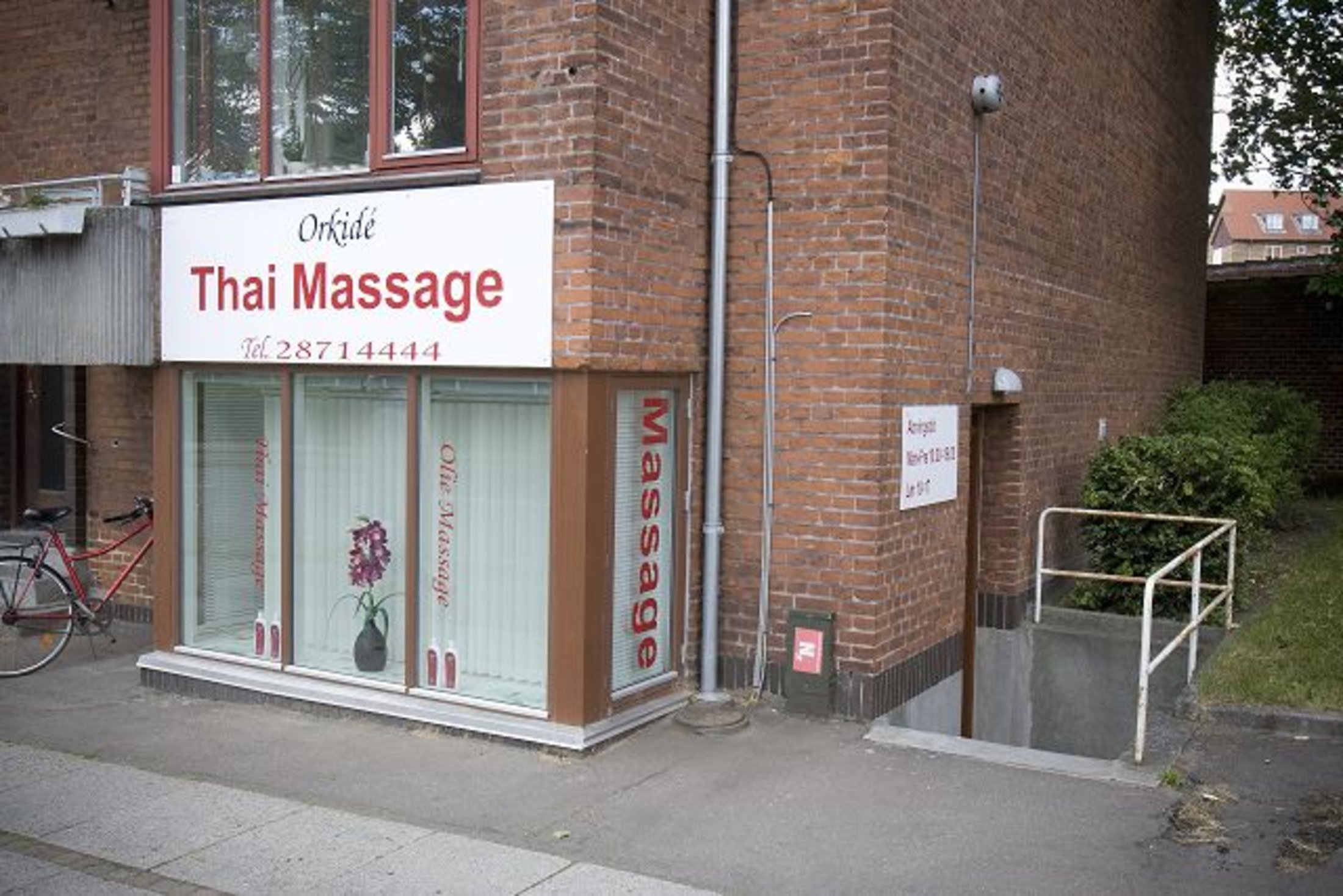 sex vidos orkide thai sex vidos orkide thai