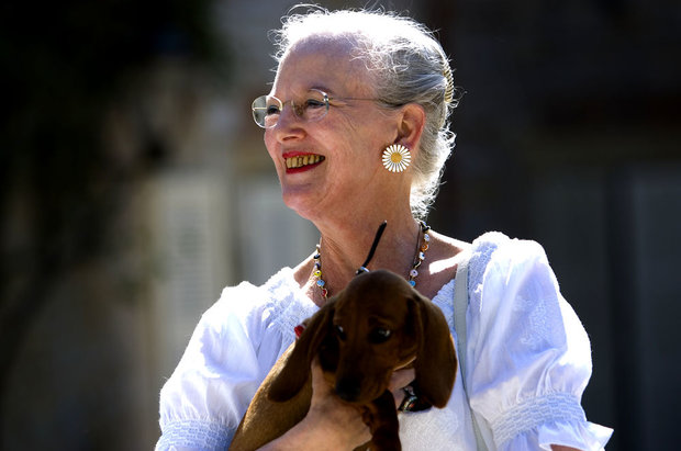 rejseliv tre retter for en hund rejseliv tre retter for en hund