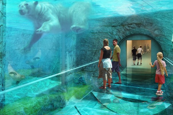 Nu åbner Den Arktiske Ring i Zoo