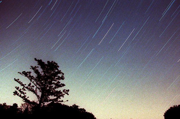 Dating dyrekretsen kompatibilitet tyren horoskop