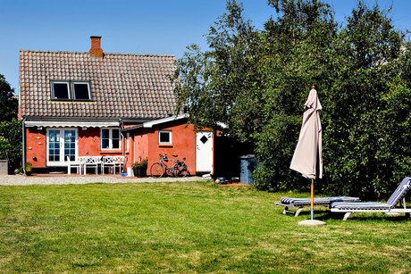 Ålen Samsø 1