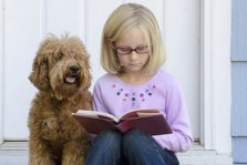 Læsehund