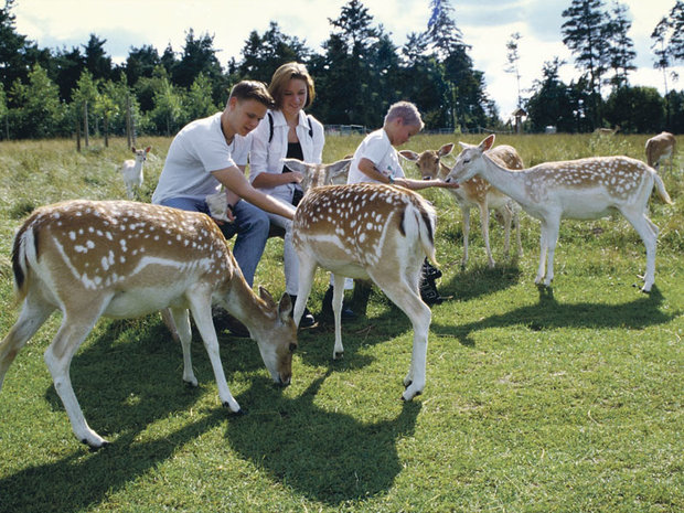 verdens største pik zoo Sjælland verdens største pik zoo Sjælland
