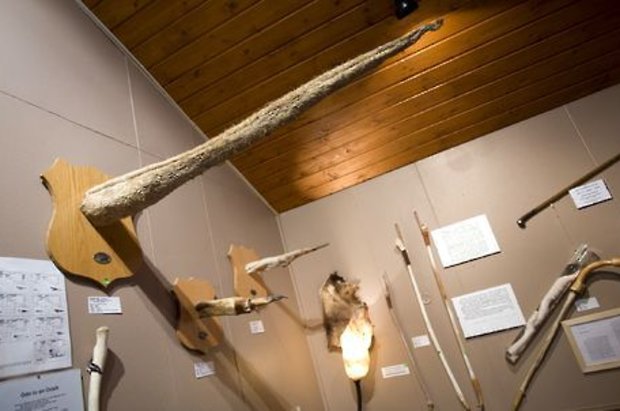 den længste penis stolthed den længste penis stolthed