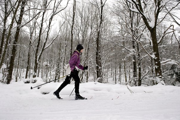 Her kan du stå på ski i Storkøbenhavn