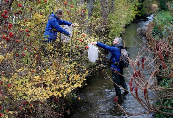 betyder, at jeg er en fisk strøm en dreng betyder, at jeg er en fisk strøm en dreng